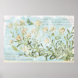 Blau botanisch poster