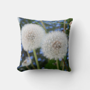 blau, Butterblume, Pflanze, Löwenzahn, Weiß, Kissen