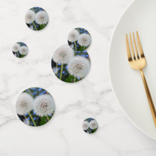 blau, Butterblume, Pflanze, Löwenzahn, Wiese, weiß Konfetti