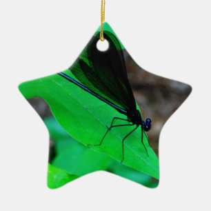 Blau Damselfly auf einem grünen Blatt. Keramikornament