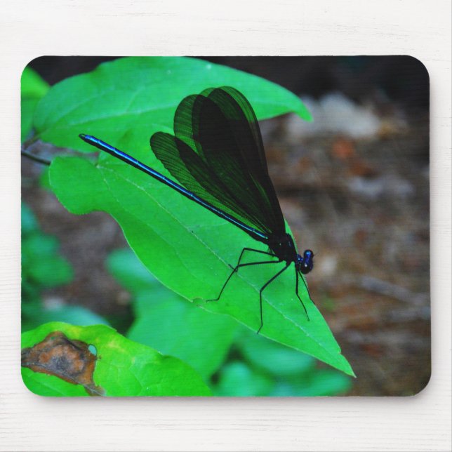 Blau Damselfly auf einem grünen Blatt. Mousepad (Vorne)