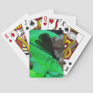 Blau Damselfly auf einem grünen Blatt. Spielkarten