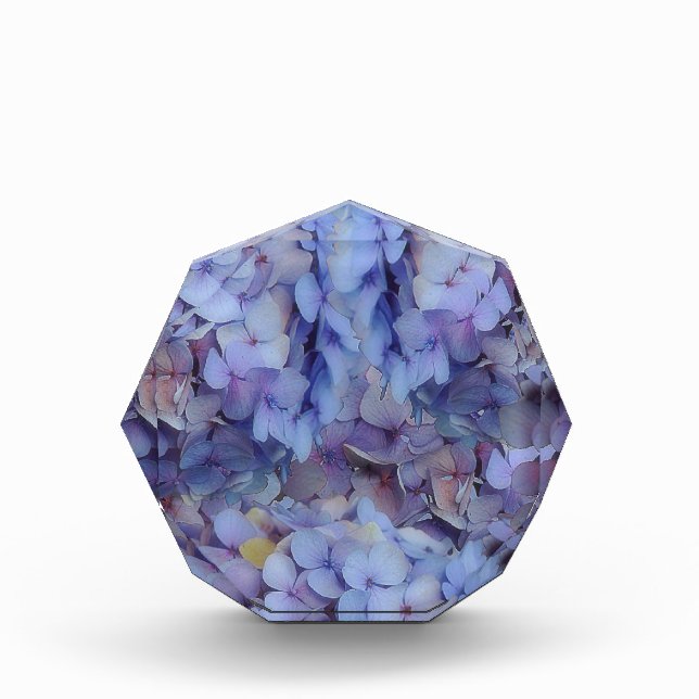 Blau Fotoblock (Vorderseite)