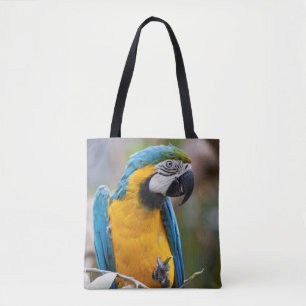 Blau-Gelb-Maca für die gesamte Drucktasche