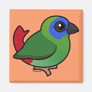 Blau-gesichtiges Parrotfinch Magnet
