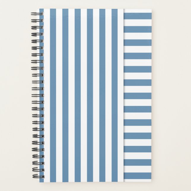 blau gestreift planer (Vorderseite)