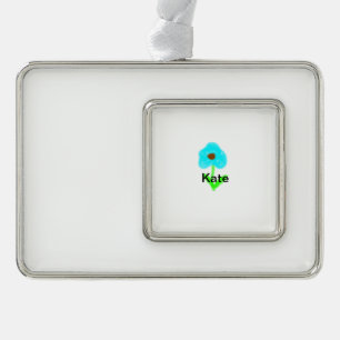 Blau grüne Aquarellfarbe fügt Ihrem Namen tex hinz Rahmen-Ornament Silber