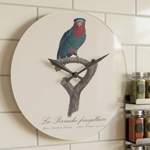 Blau-Kronen-Lori, Vini Australis Große Wanduhr