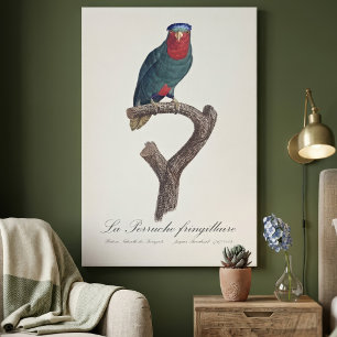 Blau-Kronen-Lori, Vini Australis Leinwanddruck