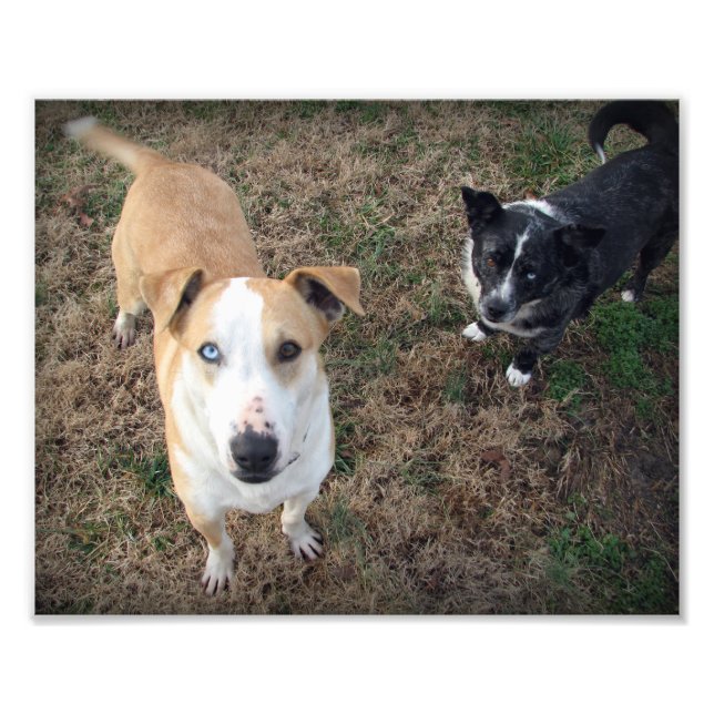 blau-mit Augen+braun-mit Augen Fotodruck (Vorne)