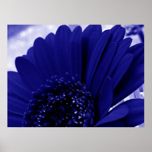 Blau Poster