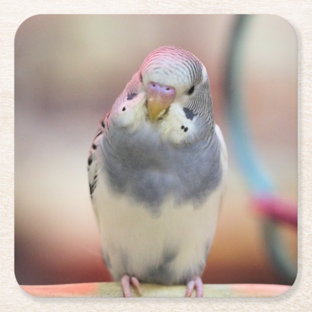 Blau Rechteckiger Pappuntersetzer (Vorderseite)