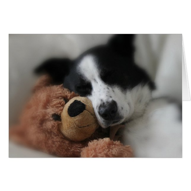 Blau und Bär (Vorderseite (Horizontal))