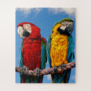 Blau und gelb, Ara und ein Rasierapparat Puzzle