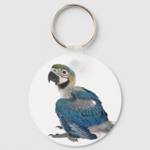 Blau und Gelb Schlüsselanhänger
