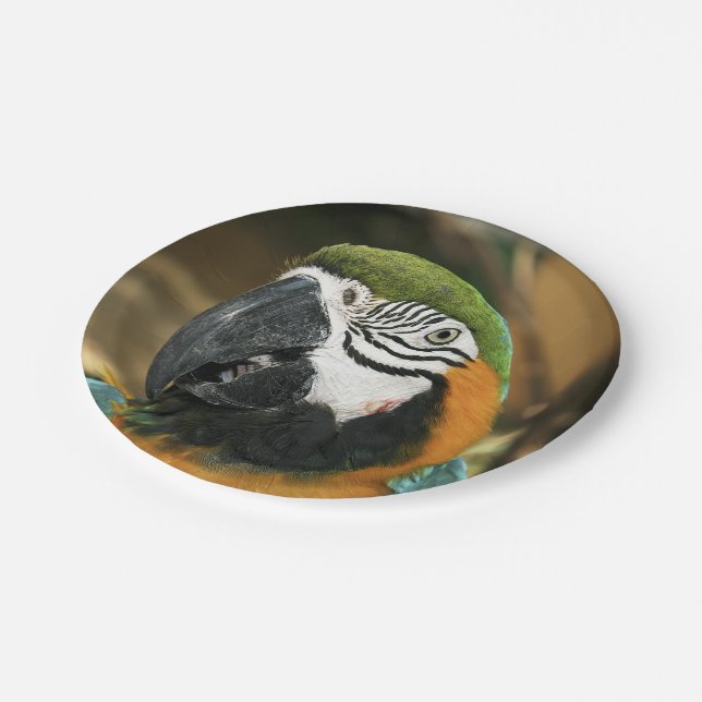 Blau und Gelb von Amazon Pappteller (Schrägansicht)