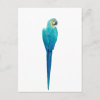Blau und Gelb von Junglewalk.com