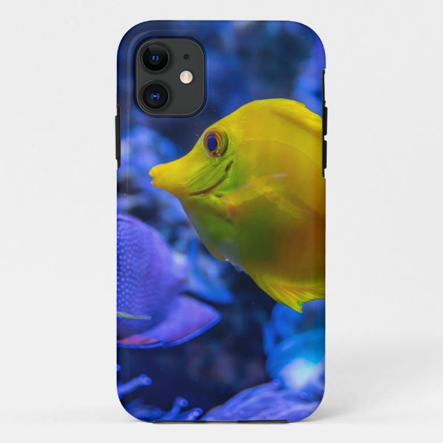 Blau und gelb zwei schöne Fische Case-Mate iPhone Hülle (Rückseite)