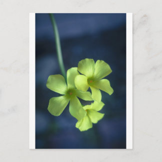 Blau- und Gelbblumen Postkarte