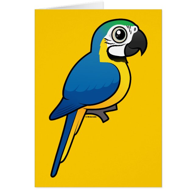 Blau-und-gelber Macaw (Vorne)