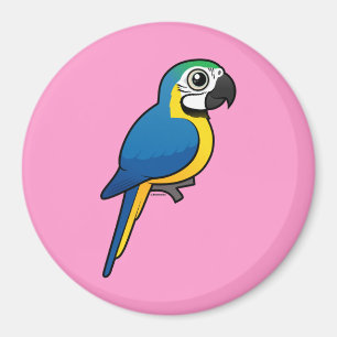 Blau-und-gelber Macaw Magnet