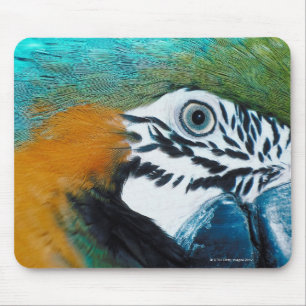 Blau-und-gelbes MacawÊ Mousepad