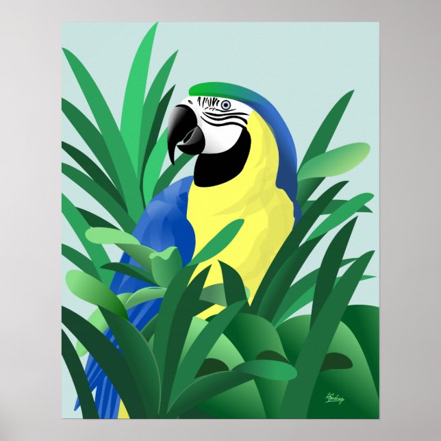 Blau- und Goldara Poster (Vorne)