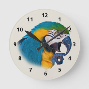 Blau-und Goldpapagei kundengerecht Runde Wanduhr