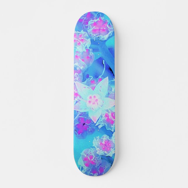 Blau und Heiß rosa Sukkuläres Unterwasser-Sedum Skateboard (Vorne)