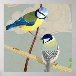 Blau und Kohlmeise Poster