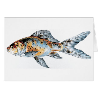 Blau und Orange Shubunkin Goldfish Fine Art