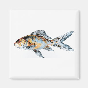 Blau und Orange Shubunkin Goldfish Fine Art Magnet
