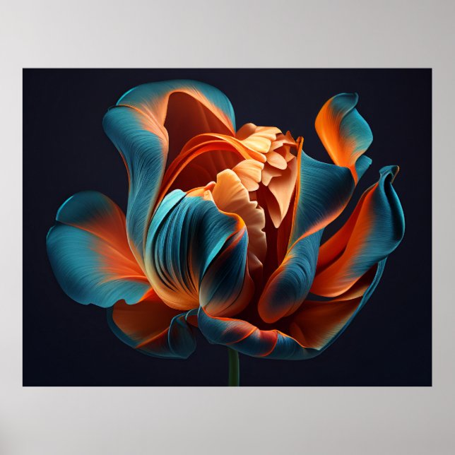 Blau und Orange Tulip auf einem fett schwarzen Hin Poster (Vorne)