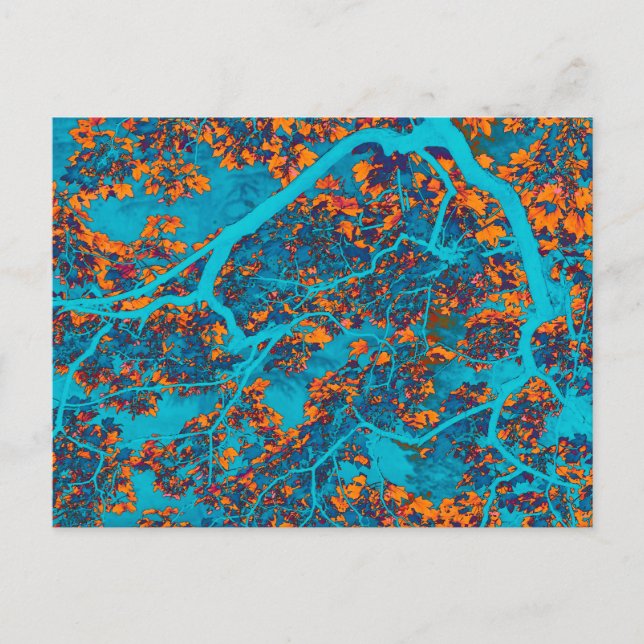 Blau- und Orangenbäume Postkarte (Vorderseite)