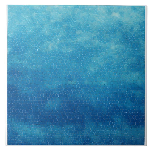 Blau und Weiß Fliese (Vorderseite)