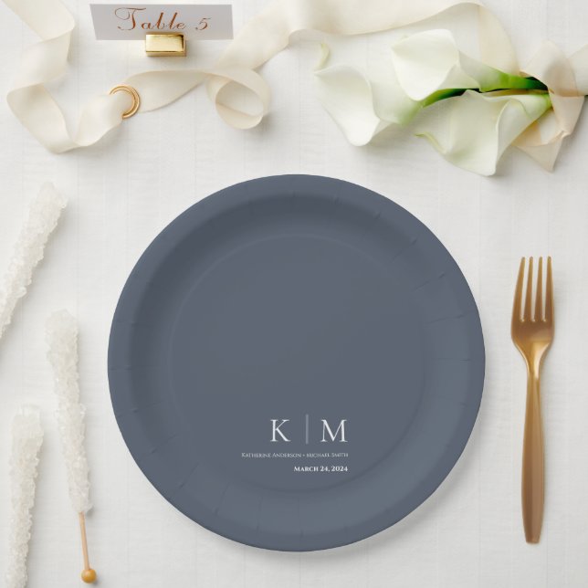 Blau und Weiß - Hochzeitsringe- Pappteller (Hochzeit)