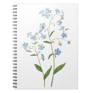 blau vergessen mich nicht Blume 2021 Aquarell Notizblock