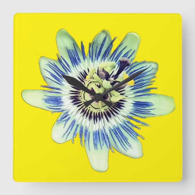 Blau-weiße Blume Quadratische Wanduhr (Vorderseite)