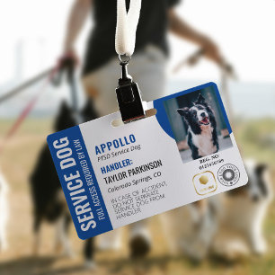 Blau-weißer Servicehund 2 Logos & Foto-ID Ausweis