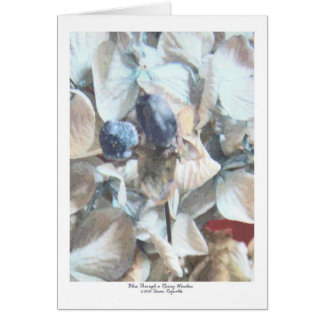 Blau zwar ein regnerisches Fenster