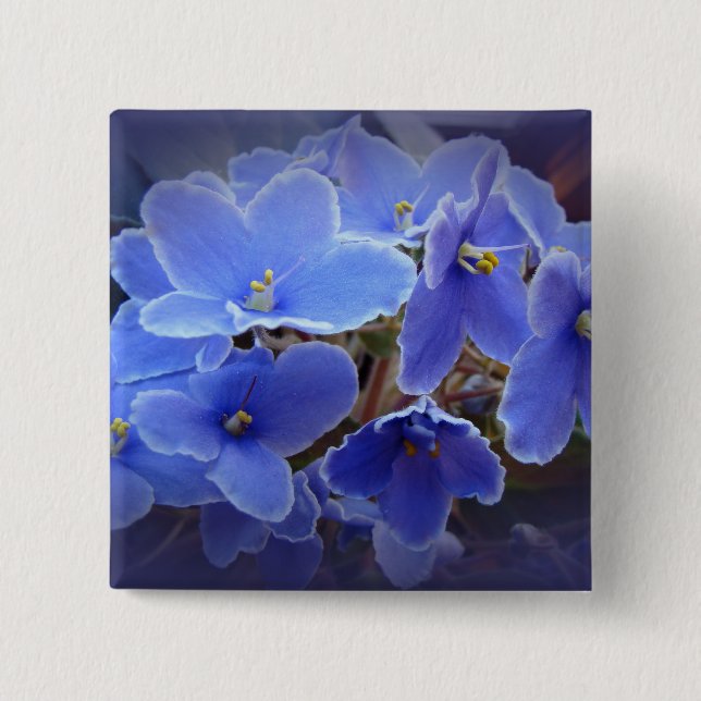 Blauafrikanische Violetten Button (Vorderseite)