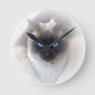 Blauaugen-Katze Runde Wanduhr