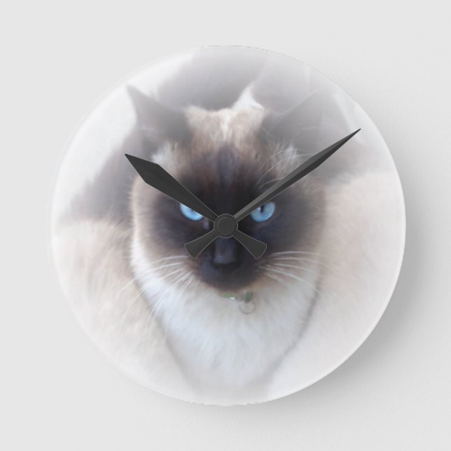 Blauaugen-Katze Runde Wanduhr (Vorderseite)