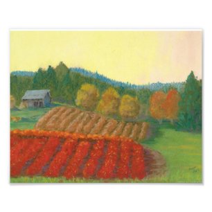 Blaubeerbauernhof auf 99 fotodruck