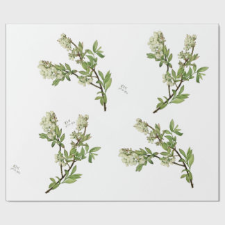 Blaubeerblüten-Geschenkpapier Geschenkpapier