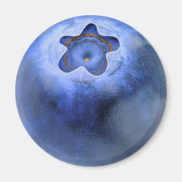 Blaubeere Magnet