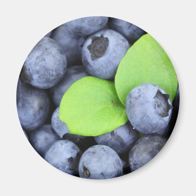 BLAUBEERE MAGNET (Vorne)