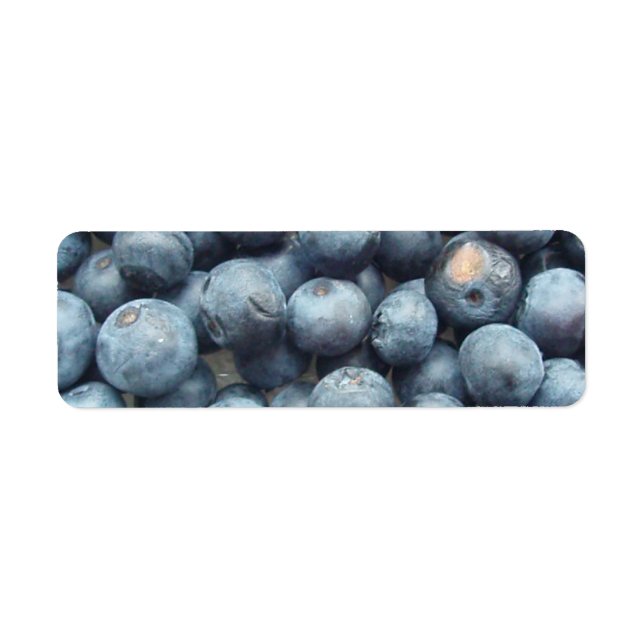Blaubeeren (Vorne)