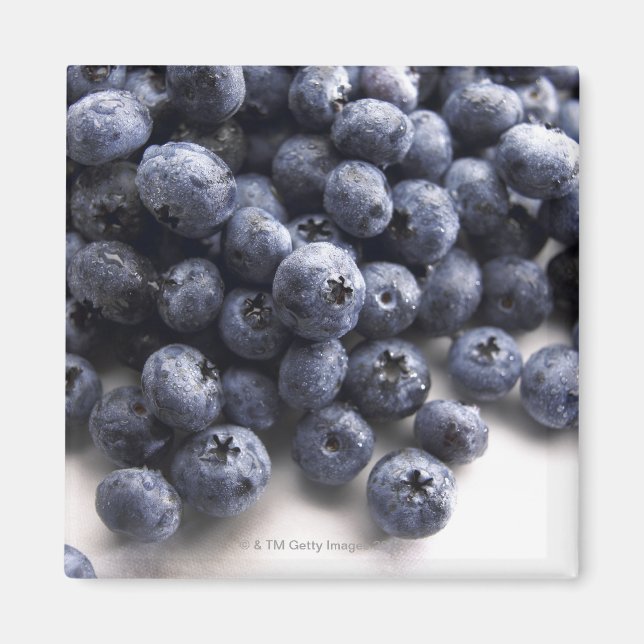 Blaubeeren 2 magnet (Vorne)
