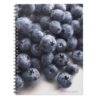 Blaubeeren 2 notizblock